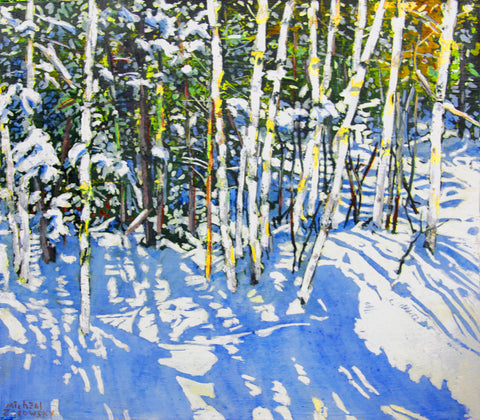 Birches Along a Sunlit Pond Edge (12 Mile Bay Road Georgian Bay)