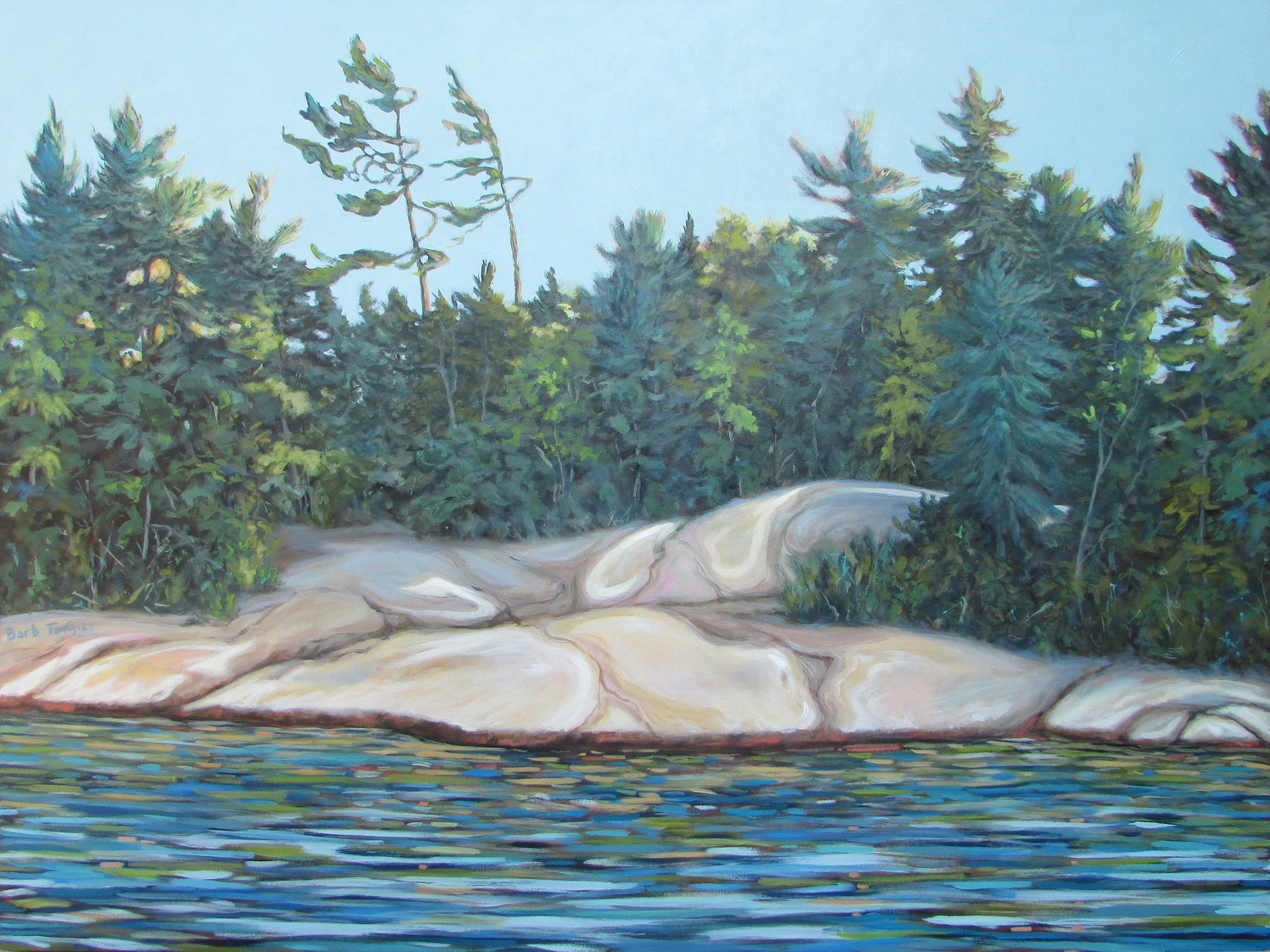 Shoreline Paddle